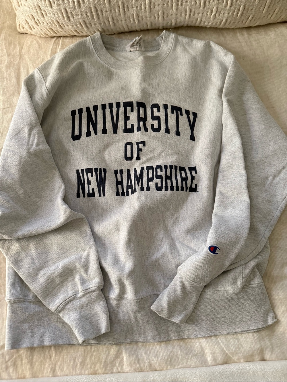 Champion Gray Crewneck Sweatshirt with Navy University Lettering